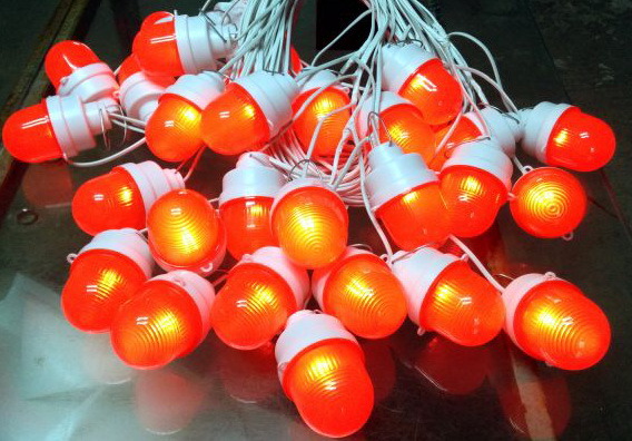 ������ ���������� �� 12