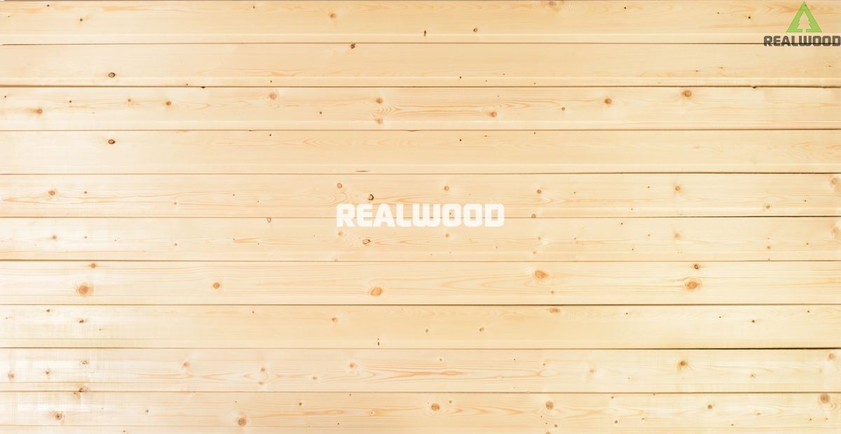 �� ���������� ����� 